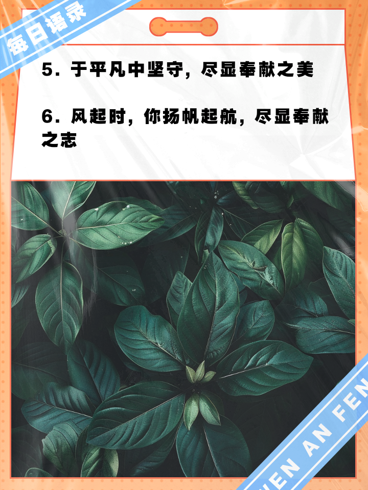 关于无悔奉献，为了胜利不计一切豪情满怀的信息